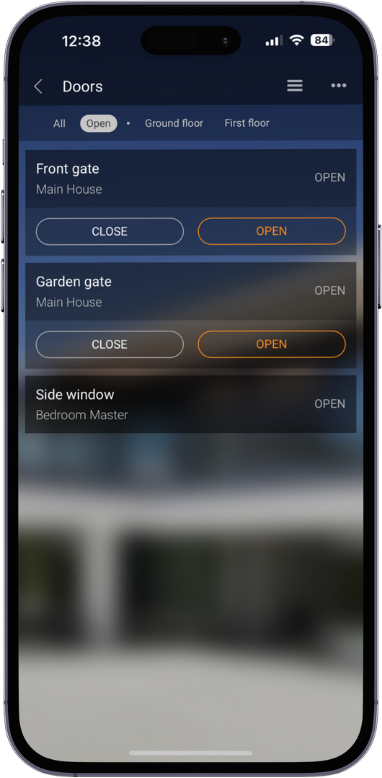 Smartphone app interface