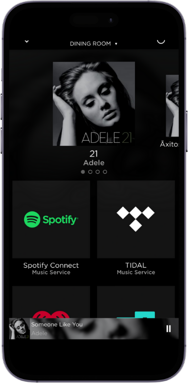 Smartphone app interface